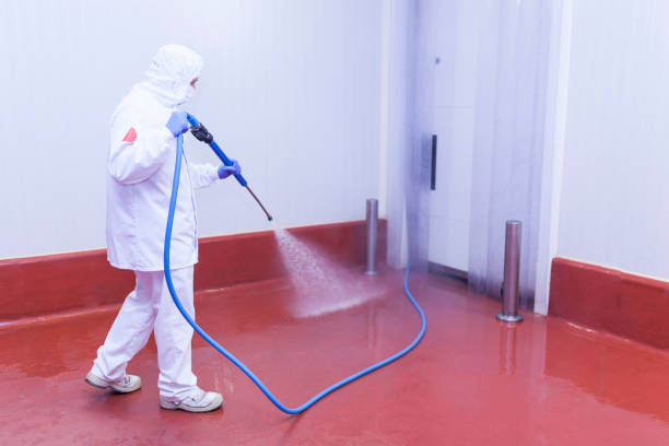 Best Sidewalk and Walkway Cleaning  in Orida Gulf Coast University, FL