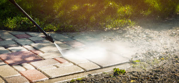 Best Solar Panel Cleaning  in Orida Gulf Coast University, FL